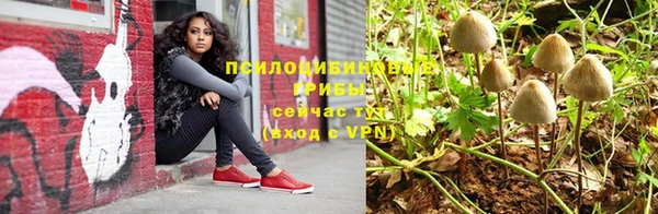 герыч Алексеевка