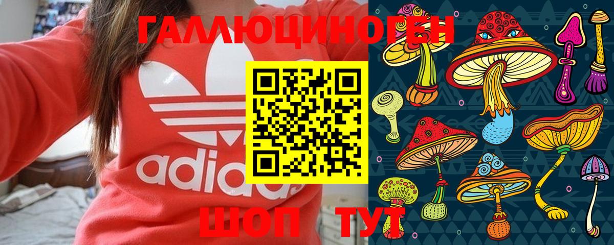 Псилоцибиновые грибы ЛСД Пенза
