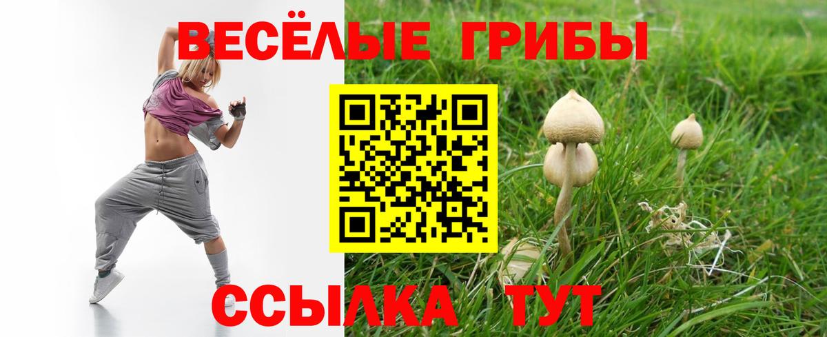 Псилоцибиновые грибы Magic Shrooms  Вход с VPN  Пенза  Псилоцибиновые грибы мухоморы 